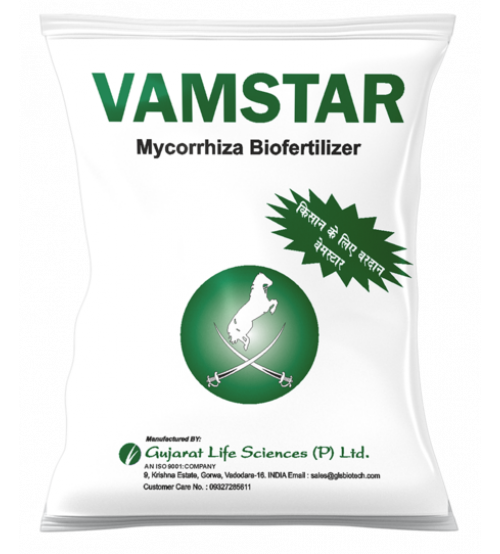 GLS Vamstar 1 Kg - Mycorrhiza Biofertilizer